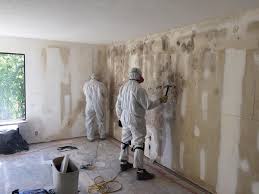 Best Mold Odor Removal Services  in Point Lookout, NY